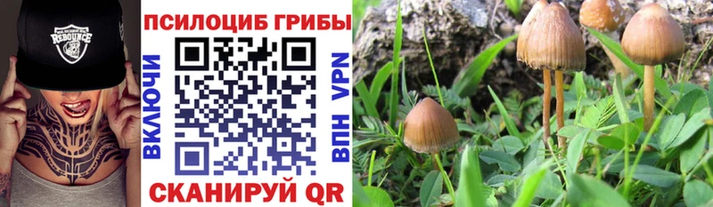 Галлюциногенные грибы GOLDEN TEACHER  KRAKEN   Озёры 